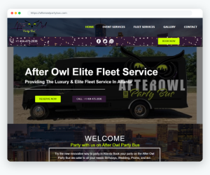 02_After_Owl_Party_Bus